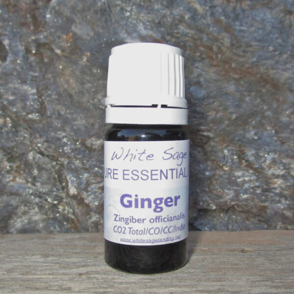 Ginger CO2 Extract 5 ml