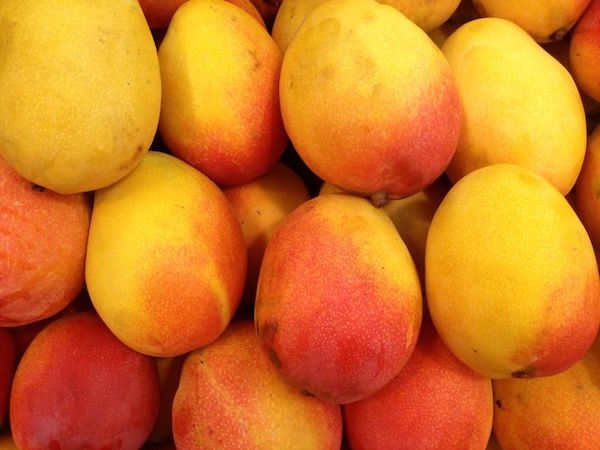 Mango Essential Oil Melange